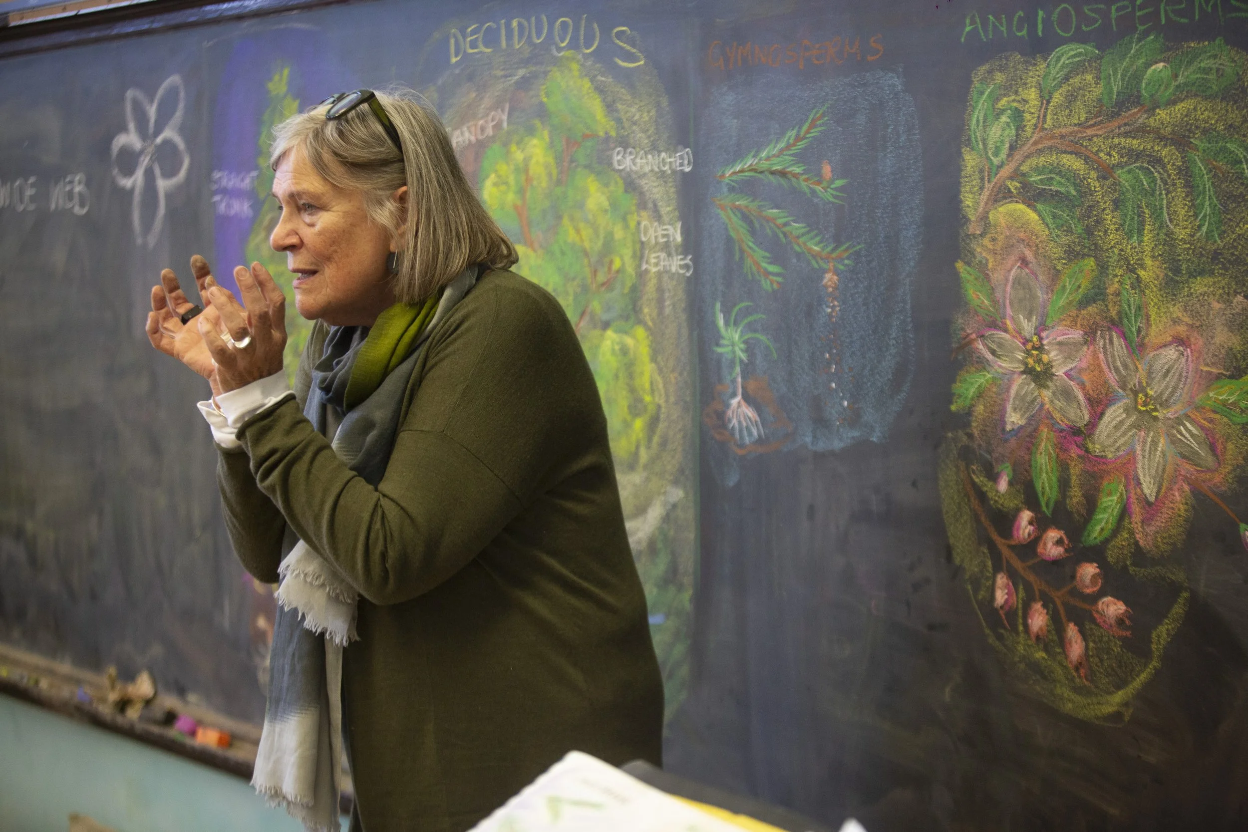 Tuition — Chicago Waldorf School