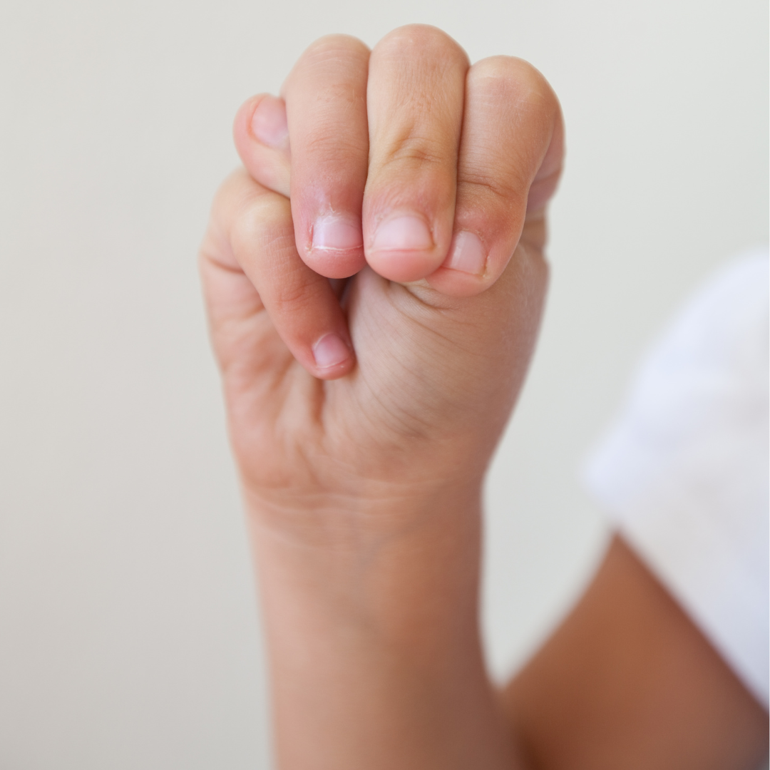 Beginning ASL.png
