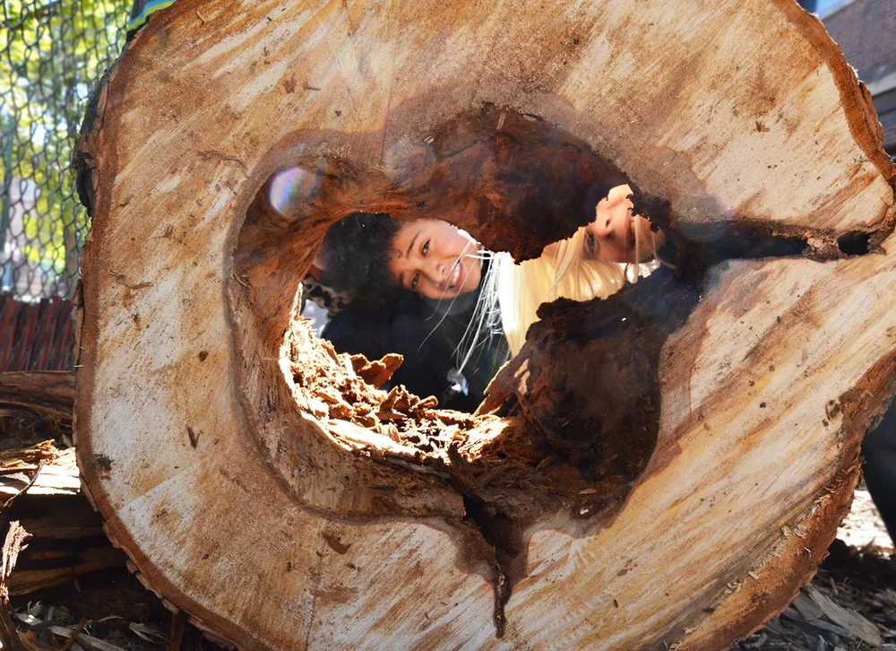 Grade School — Chicago Waldorf School