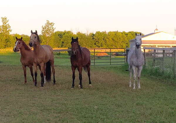 Central Ohio Riding Club