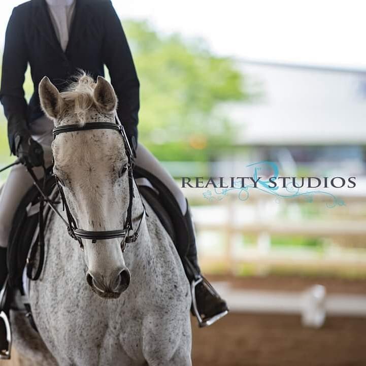 🏇 OTTB ➡️ Dressage horse

📷 Why I'm Not Bay, aka Jett, riden by his owner @ashleyyy1226_ 

Picture by @realitystudiosohio 

#dressage #dressagehorse #ottb #eventing #horse #equestrian #equestrianlife #thoroughbred