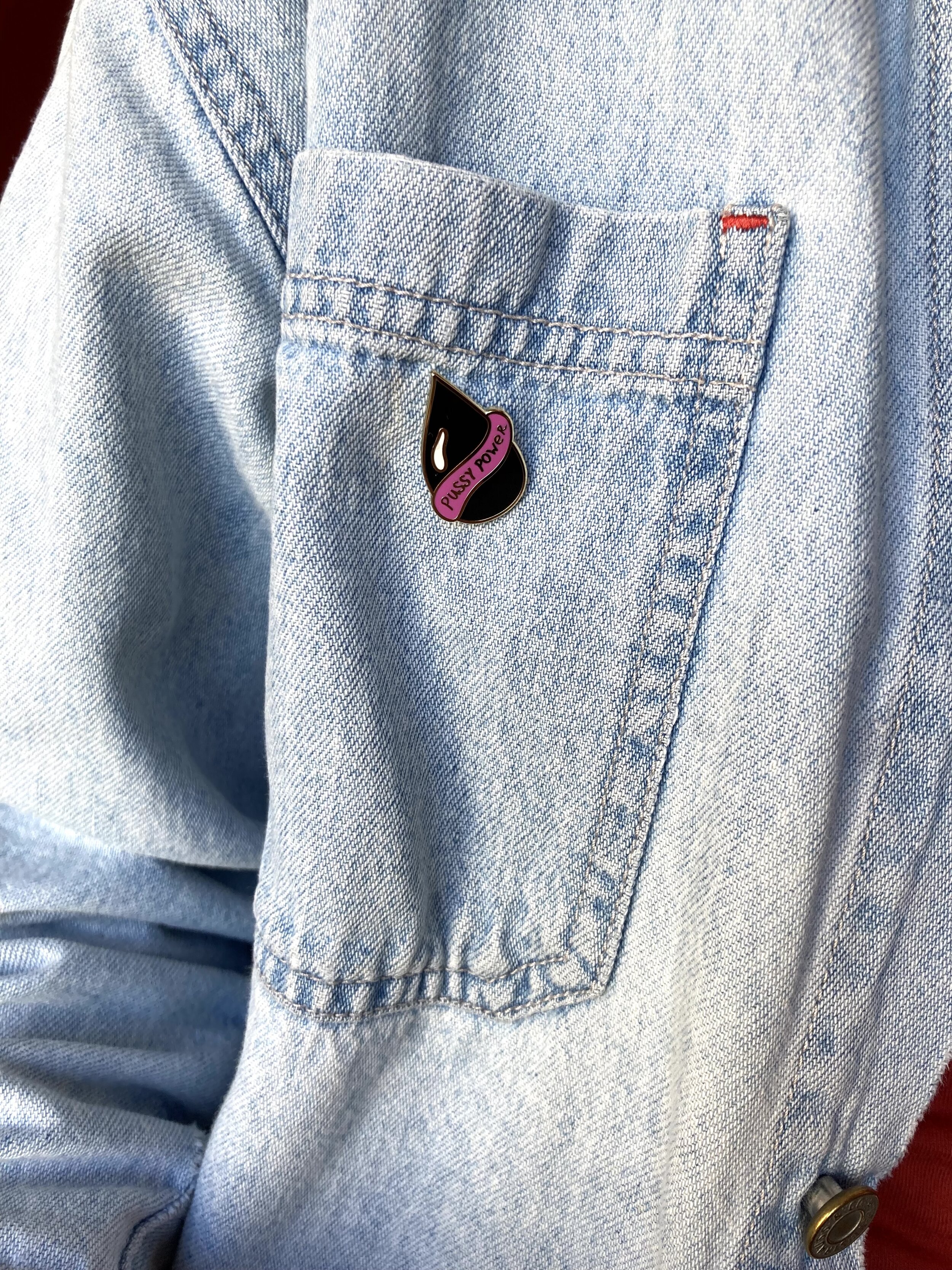 Pin's in situ.jpeg