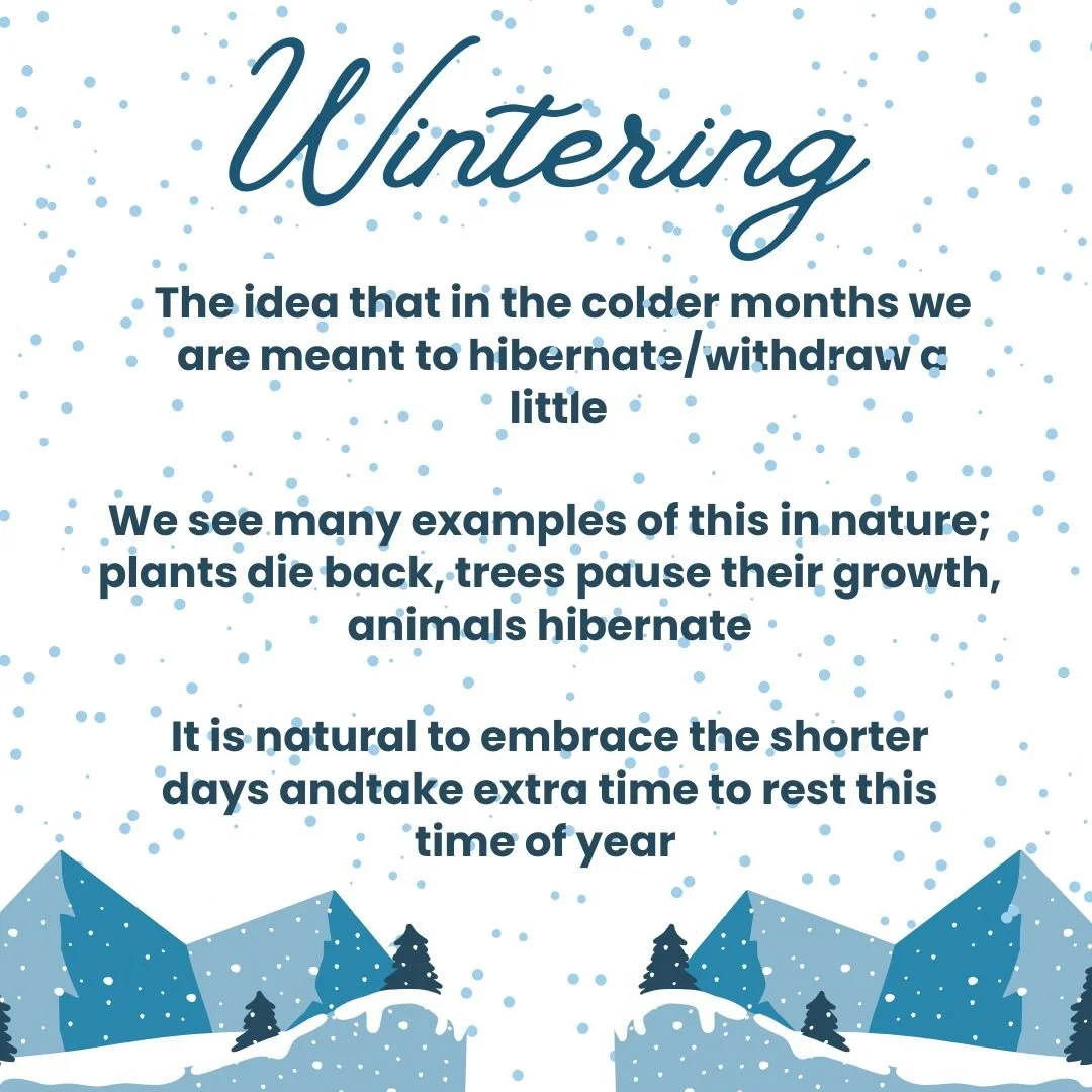 Gentle reminder that it is natural and okay to slow down and rest this time of year 🩵

#wintering #winter #cold #hibernate #boston #somerville #cambridge #mentalhealth