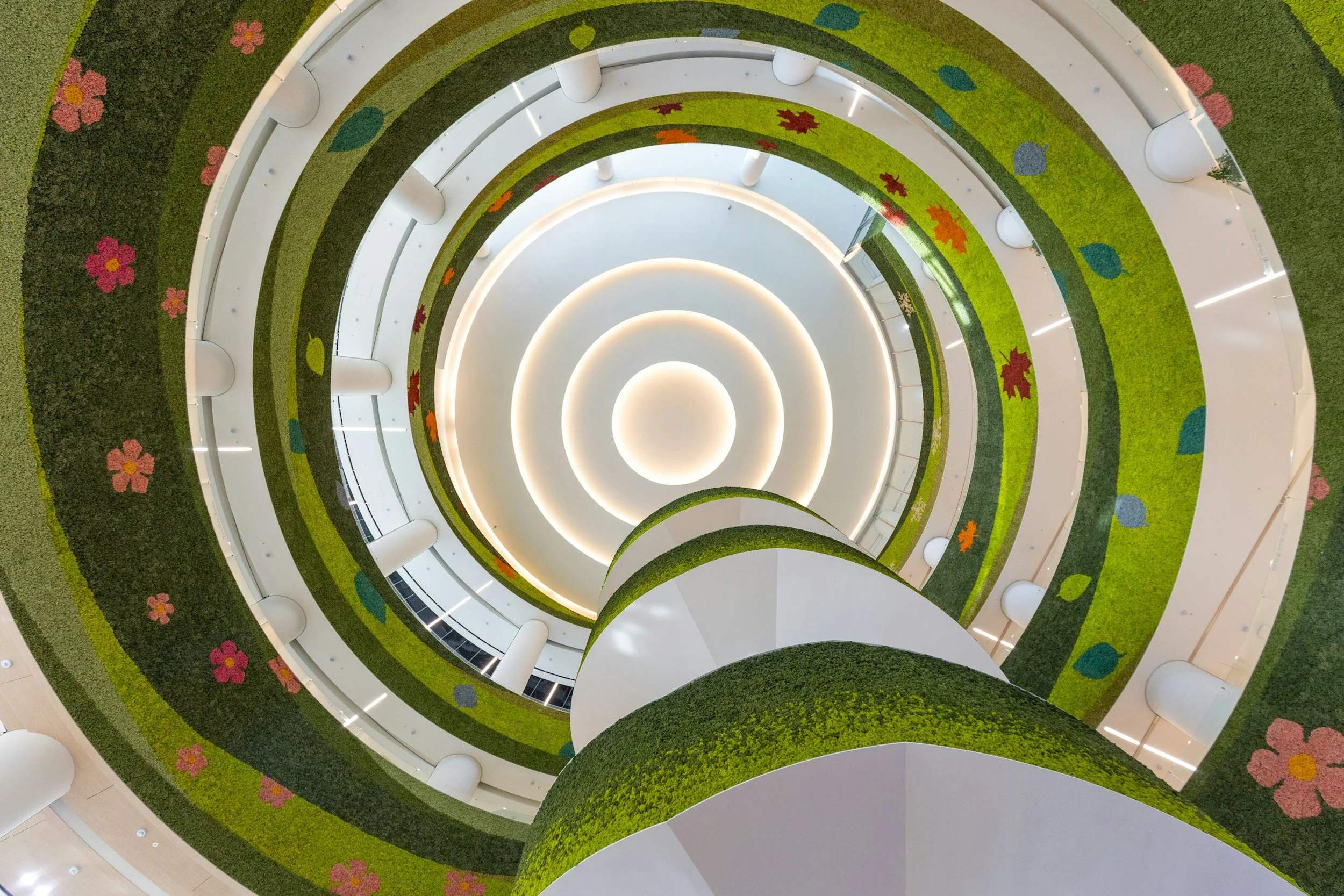 Wellness, Sanctuary, and Biophilic Design