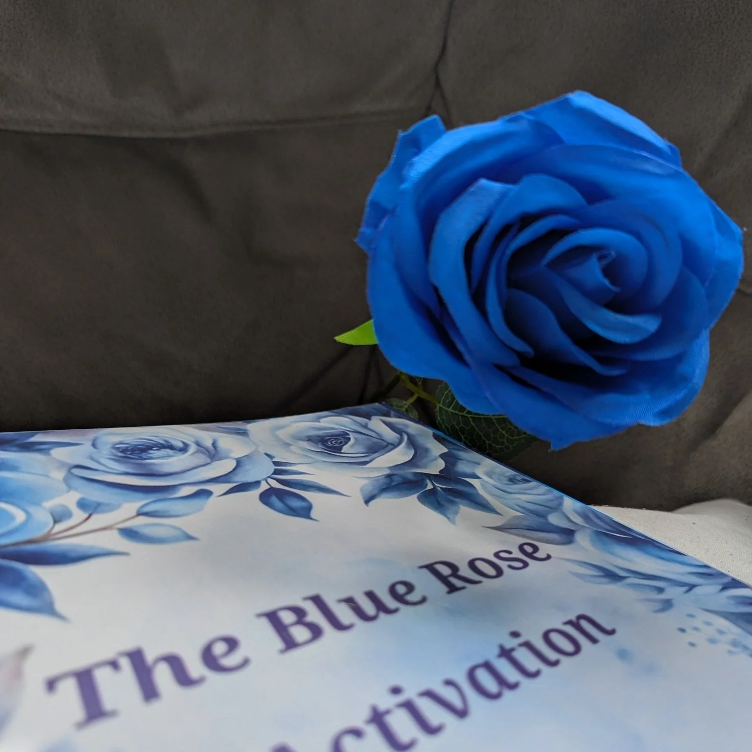 blue rose activation.jpg