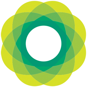 Ora | Brand Strategy + Design