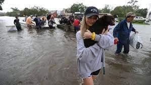 People standing in floodwaters, with some holding onto each other and others walking through the water.