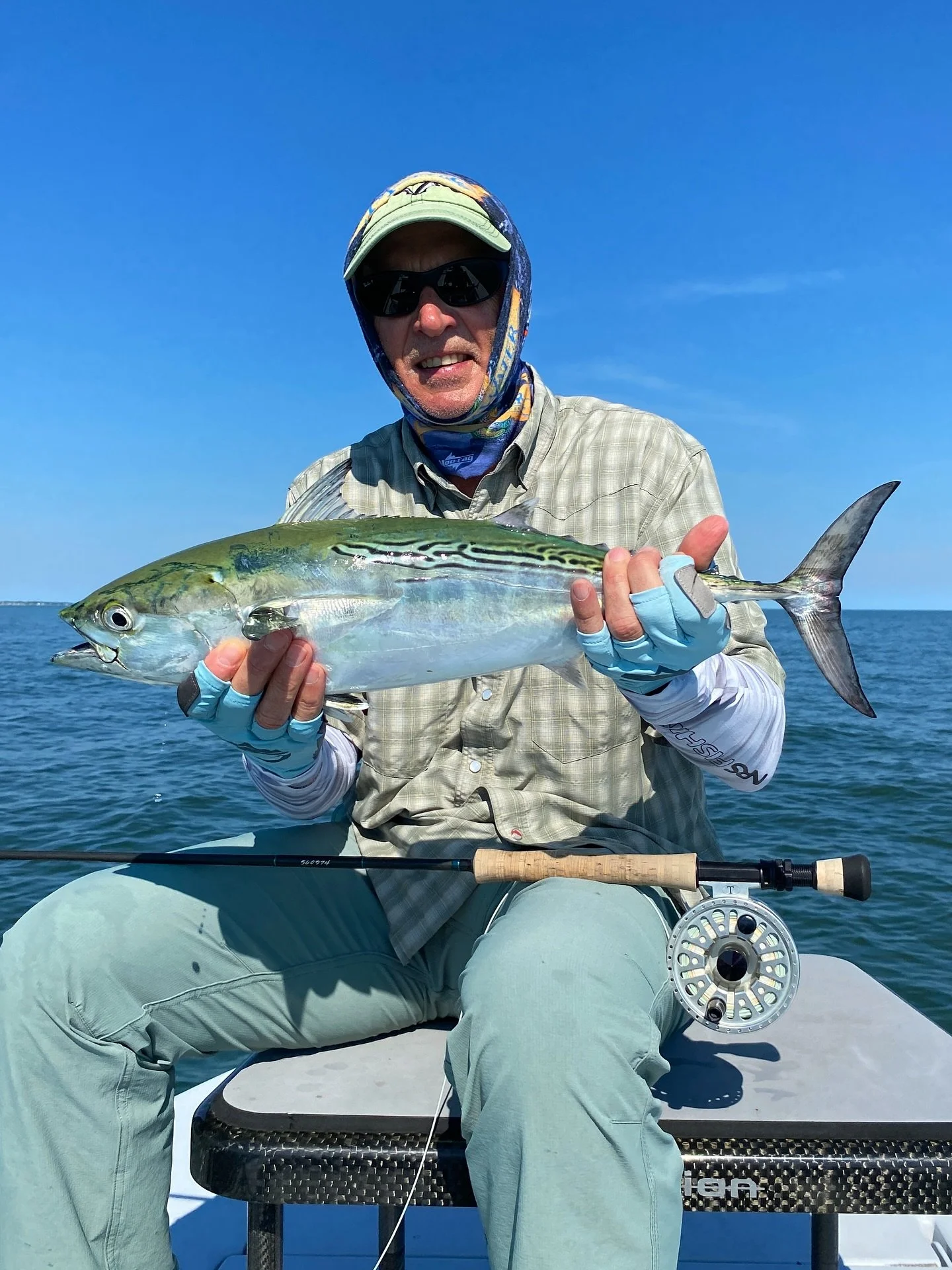 The Albies made a solid showing.