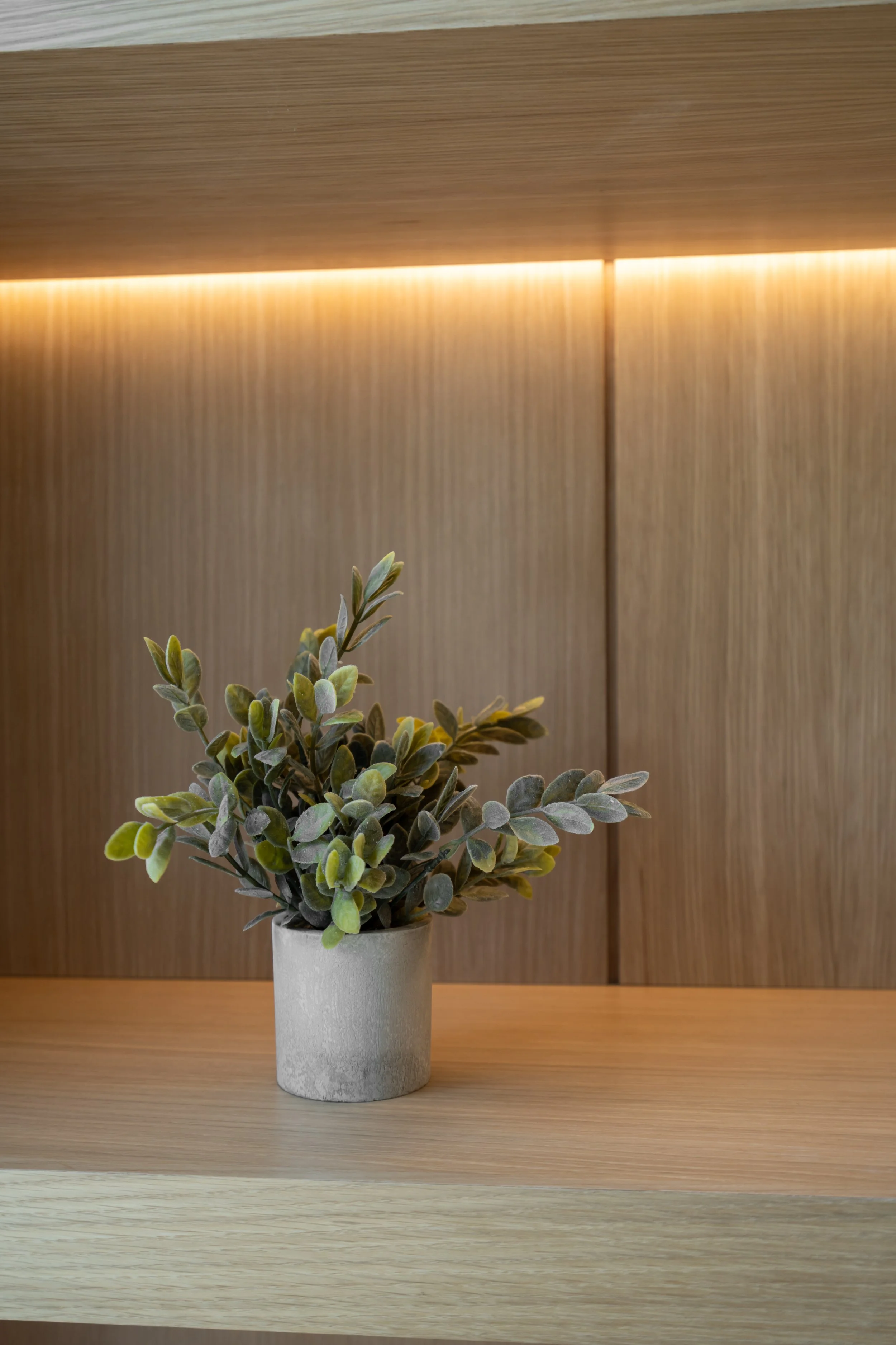 Fuschetto Development Syosset Millwork-6.jpg