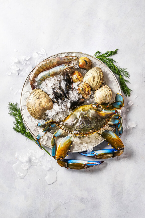 Blue Crab.jpg