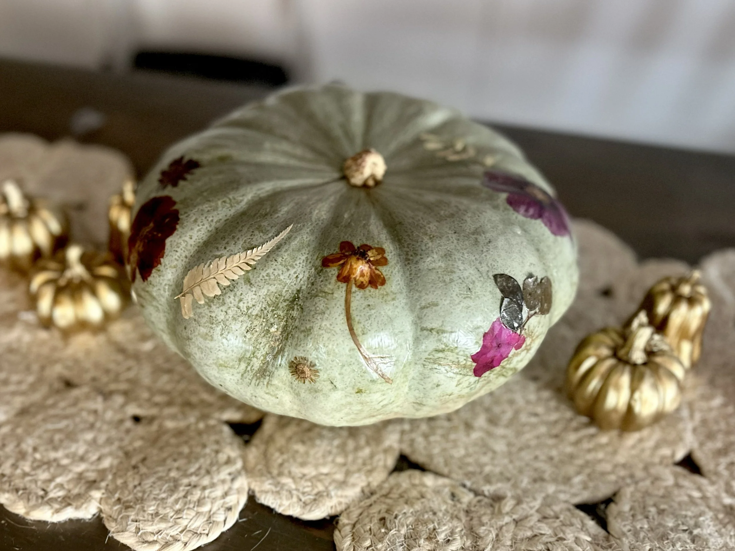 pumpkinpressedflorals.jpg
