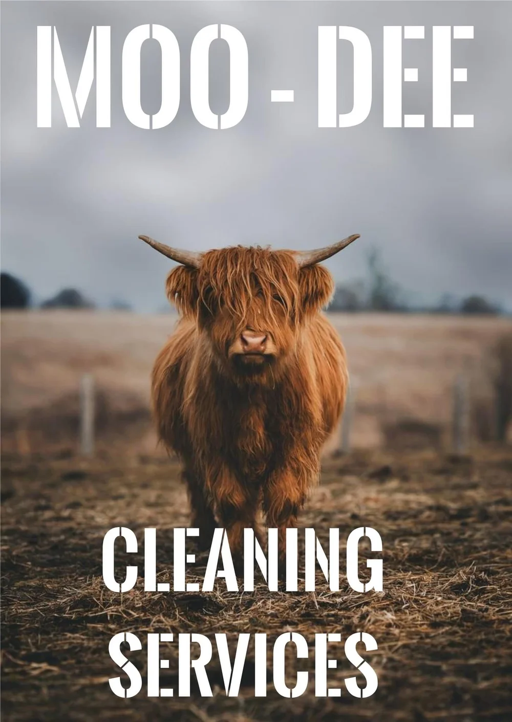 Texas Race Information Stephenville — Pinecone 5k Dash