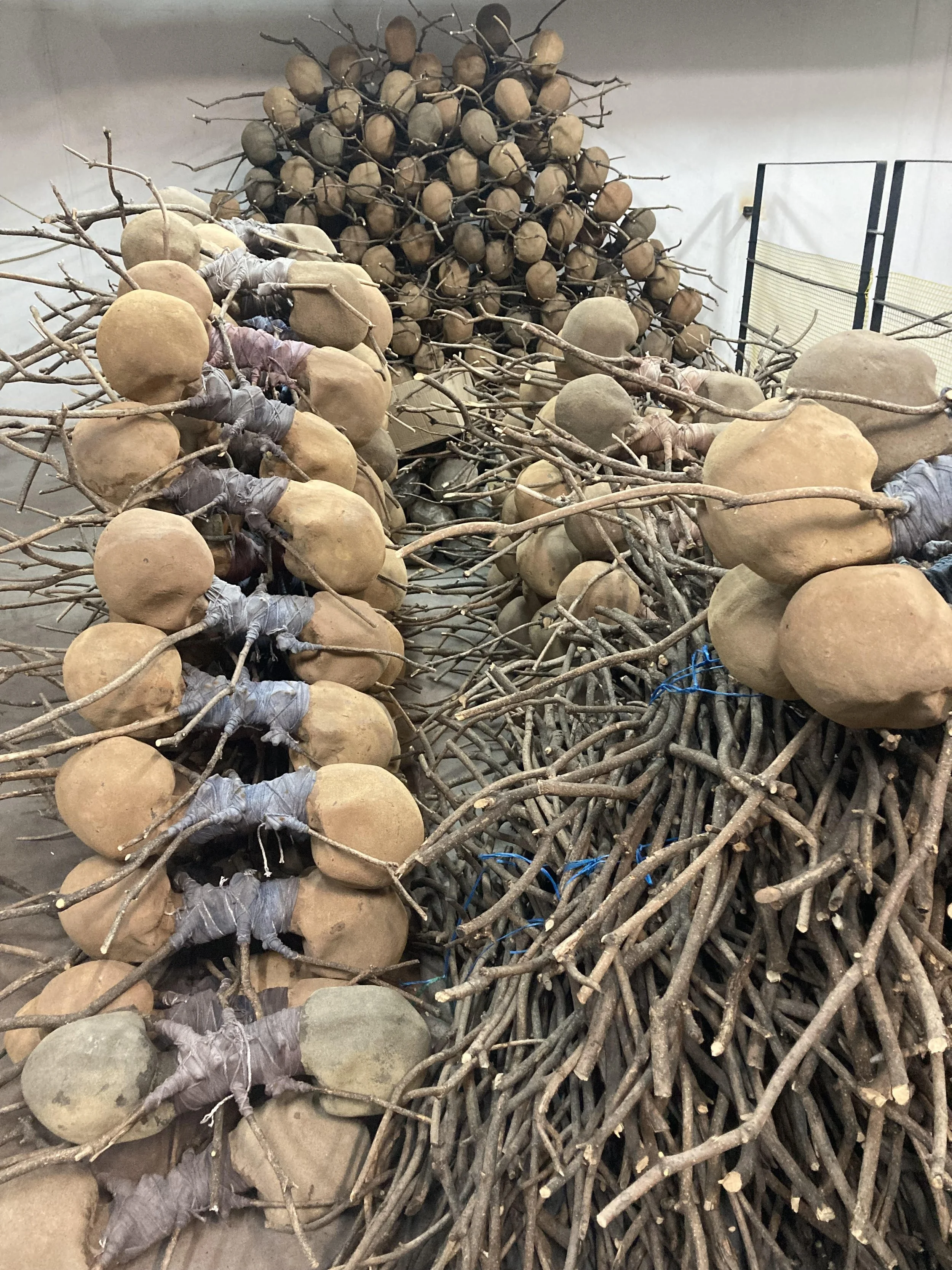 raphael gomes barros.jpg