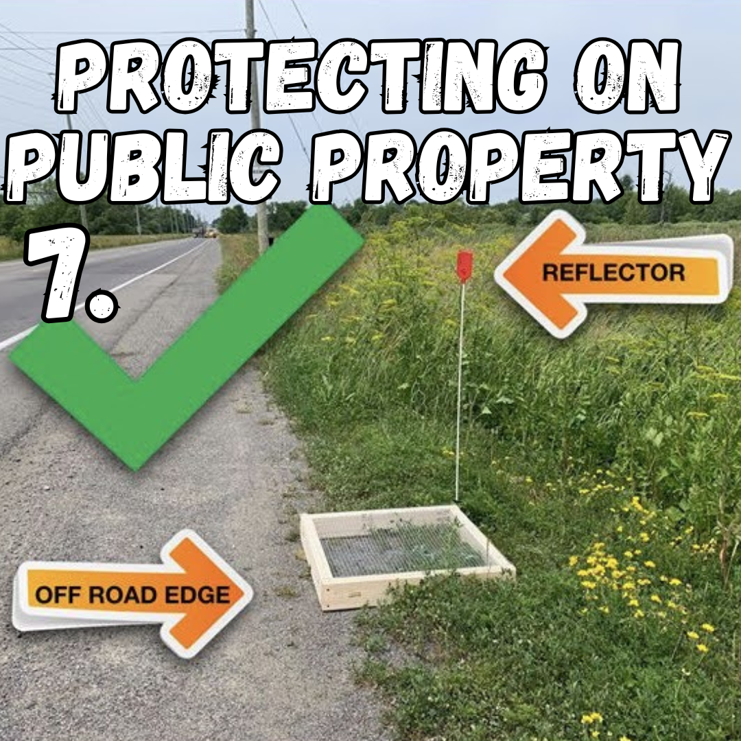 7. protecting on public property