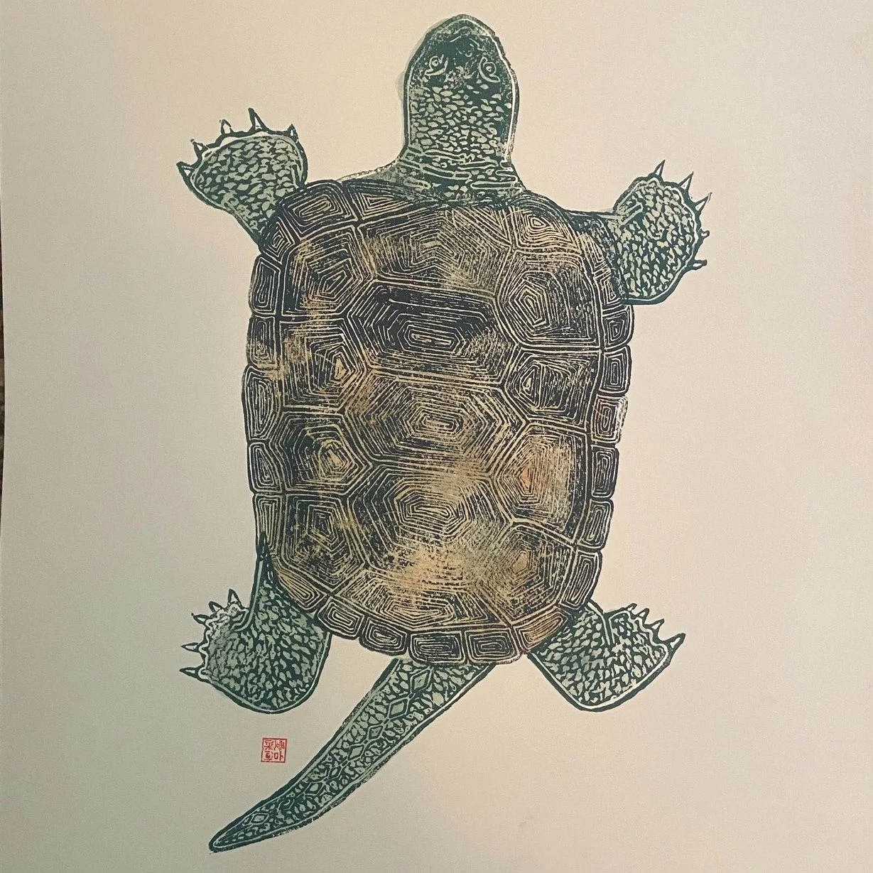 Did you take any turtle photos this year? We've love to see them and use them to help with our educational efforts!
Send them to turtleskingston@gmail.com or though messanger and you may notice your photos featured on our social media page, educatio