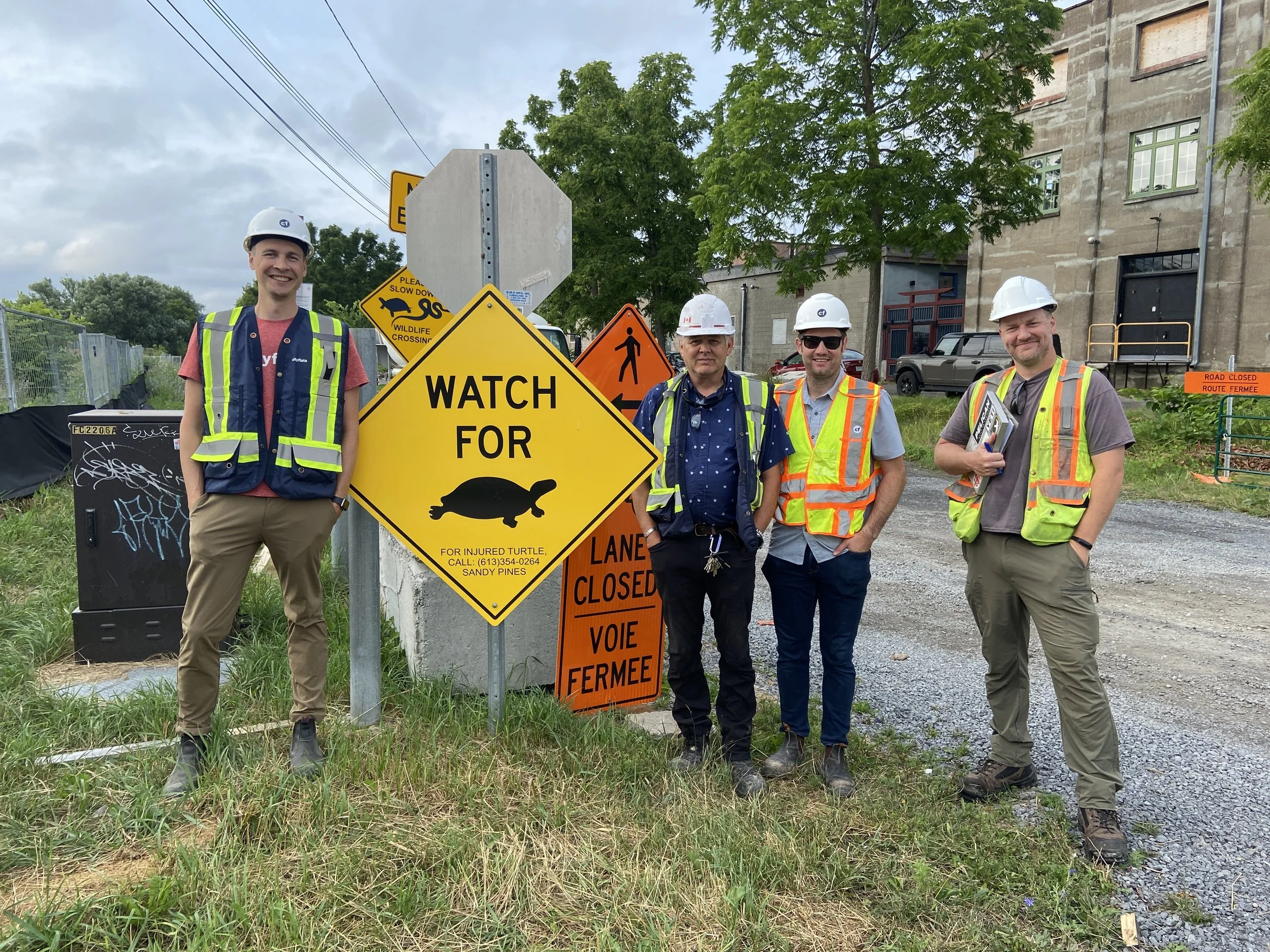Protecting Turtles During Construction Activities: A Case Study