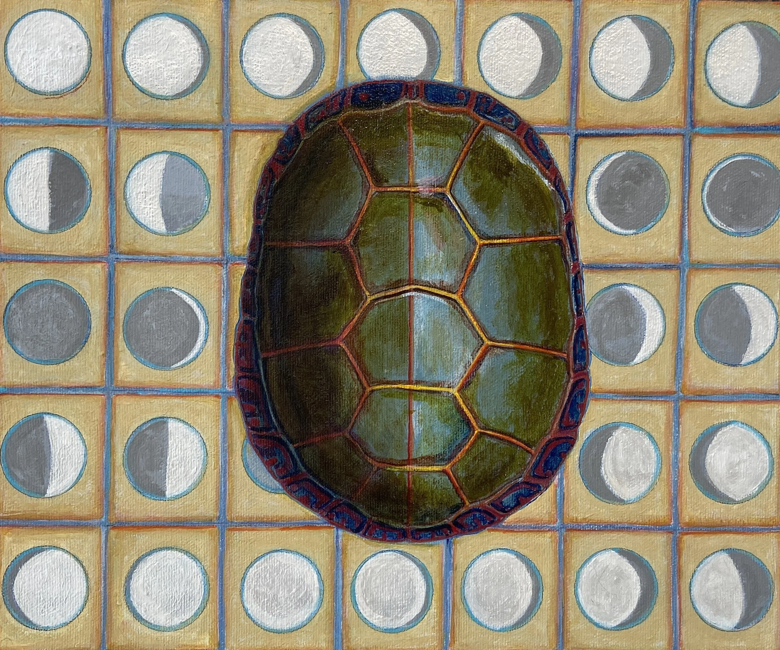 Recognizing the importance of turtles in Canadian Indigenous communities