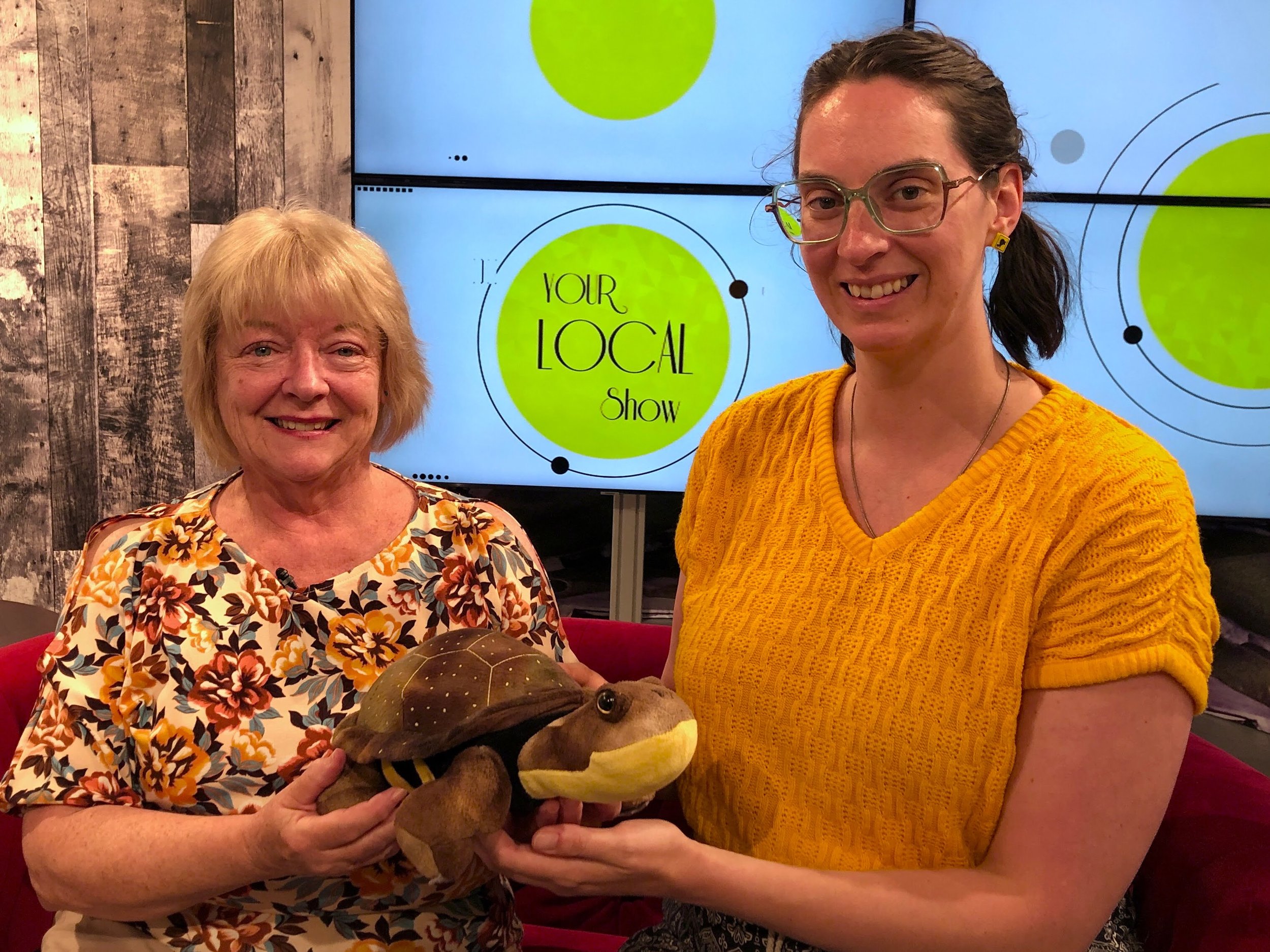 Tara Bauer, Director of Turtles Kingston was on Your Local Show with YourTV in 2024