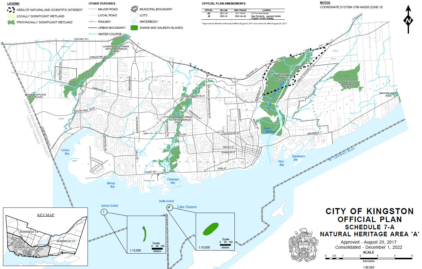 The Importance of Wetlands — Turtles Kingston