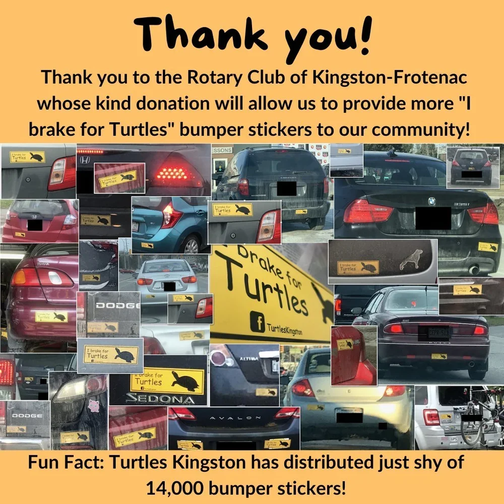 Thank you to the Rotary Club of Kingston-Frontenac for supporting our ‘I brake for turtles’ bumper sticker campaign in 2022.