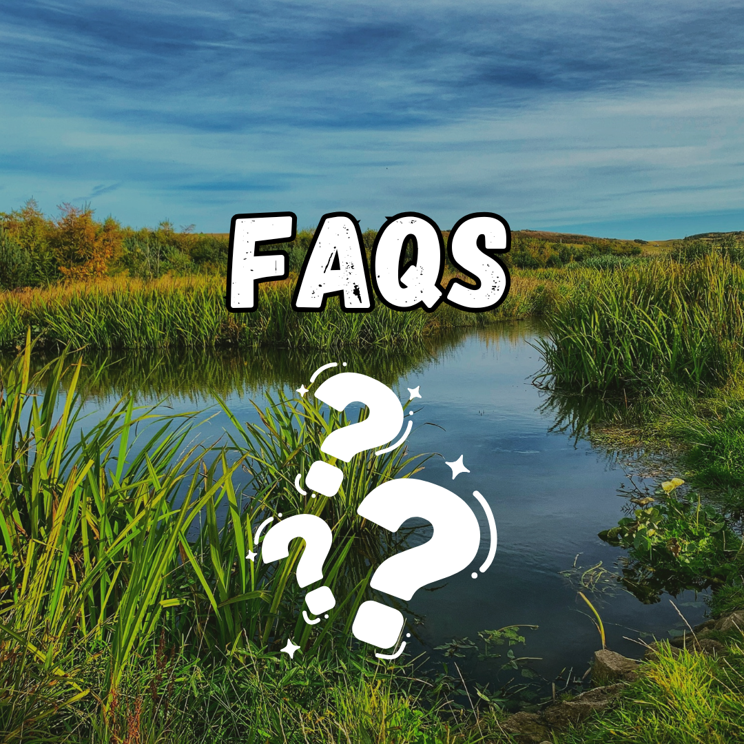 Frequently asked questions