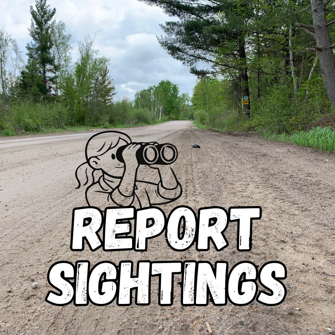Report Sightings