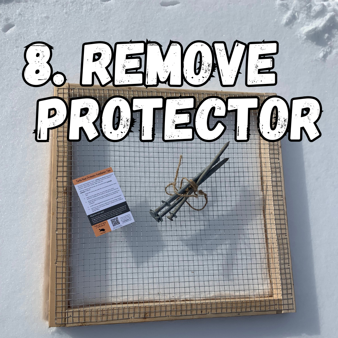 8 remove protector