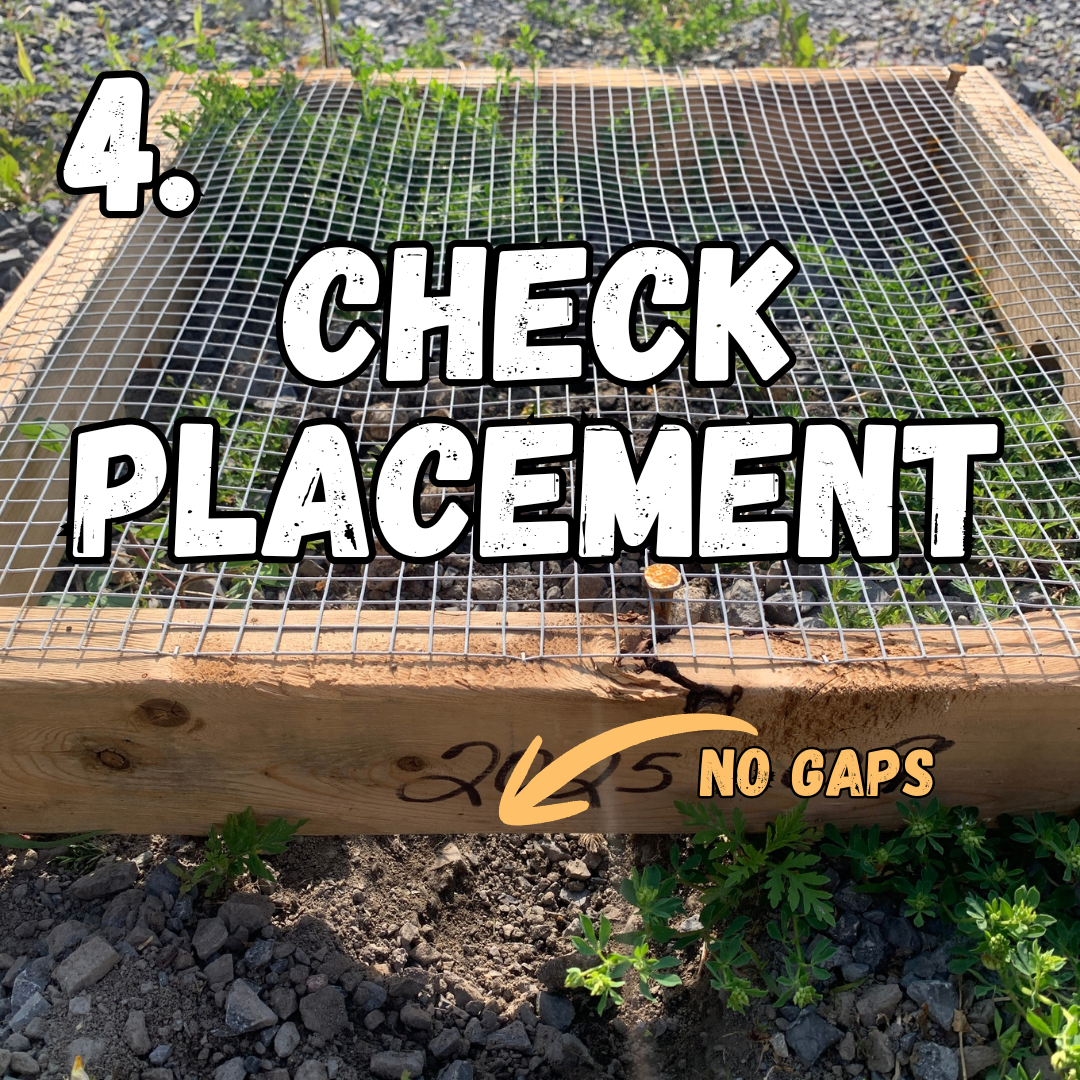 4. check placement
