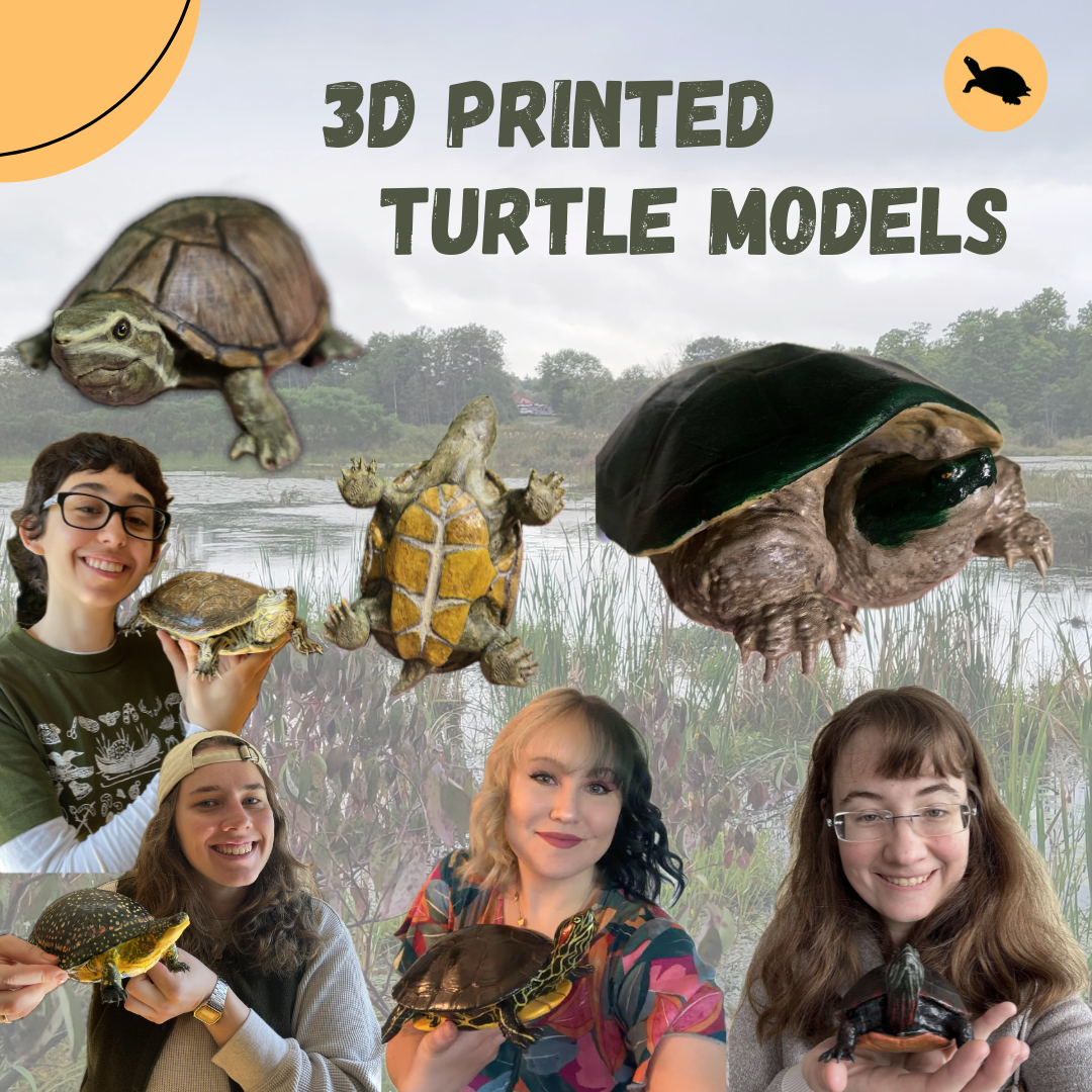 Thanks to Stephen, Brent, Anna, and Gerry for printing our new models in 2025 and to Brent, Anna, Mikey, Breanne, Maria, Katie, Patience, Erin, and Mia for bringing them to life with paint.