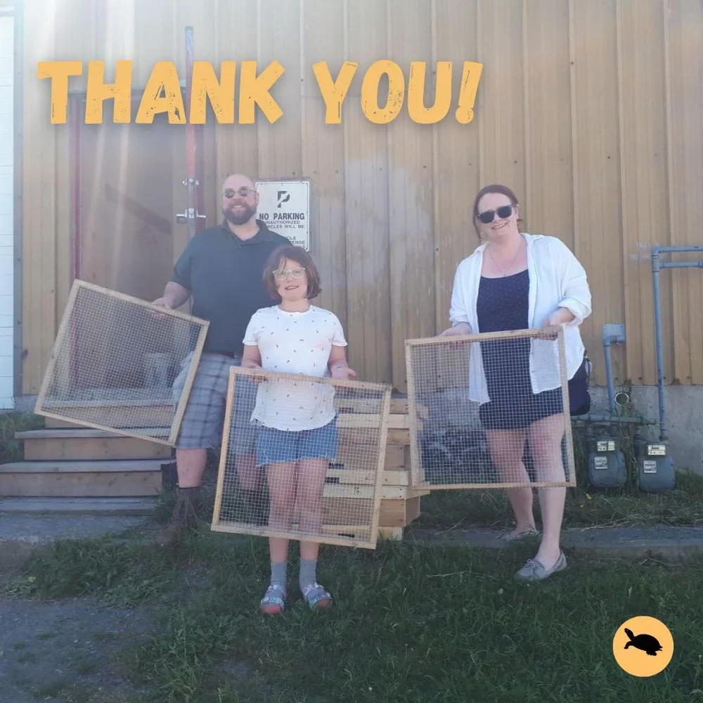 Thank you to Trinette and her family who made nest protectors out of old pallets in 2024 for us to use at our downtown Kingston monitoring site!