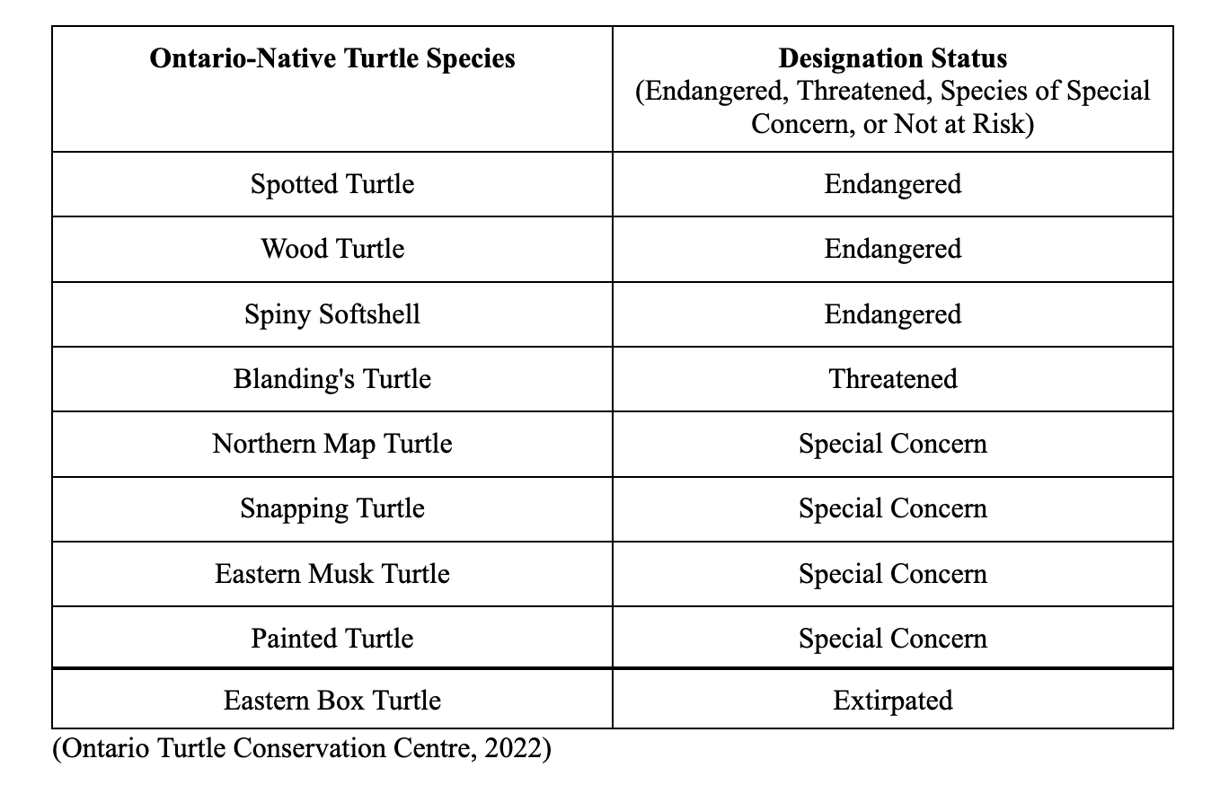 species designation status: painted turtle, eastern musk turtle, snapping turtle, and northern map turtle are special concern; Blanding's turtle is threatened; and spiny softshell turtle, wood turtle, and spotted turtle are endangered.