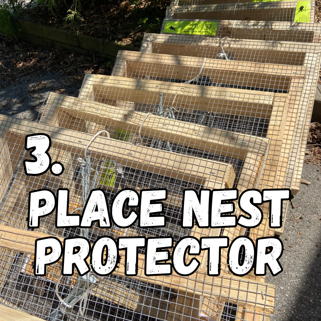 3. place nest protector