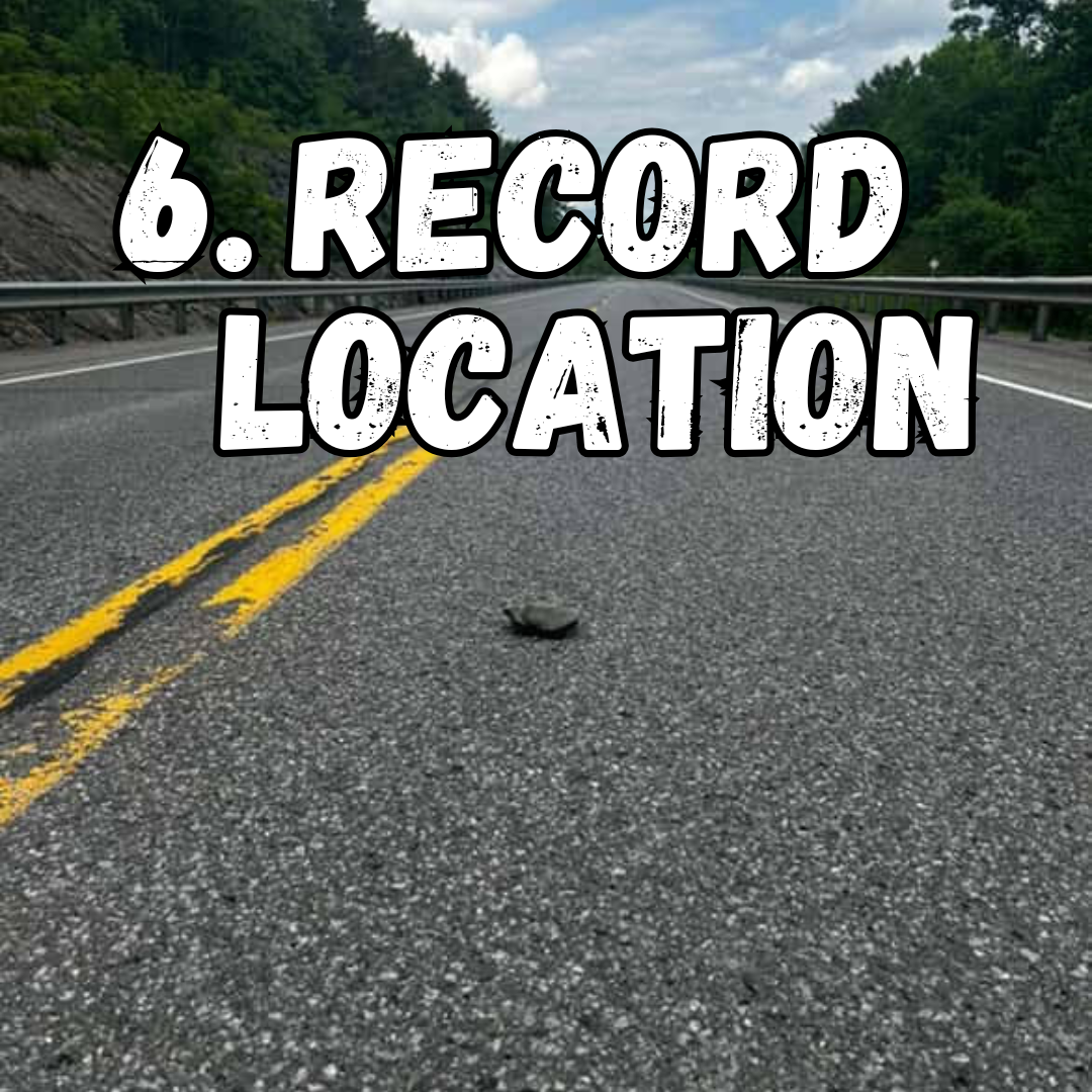 6. record location