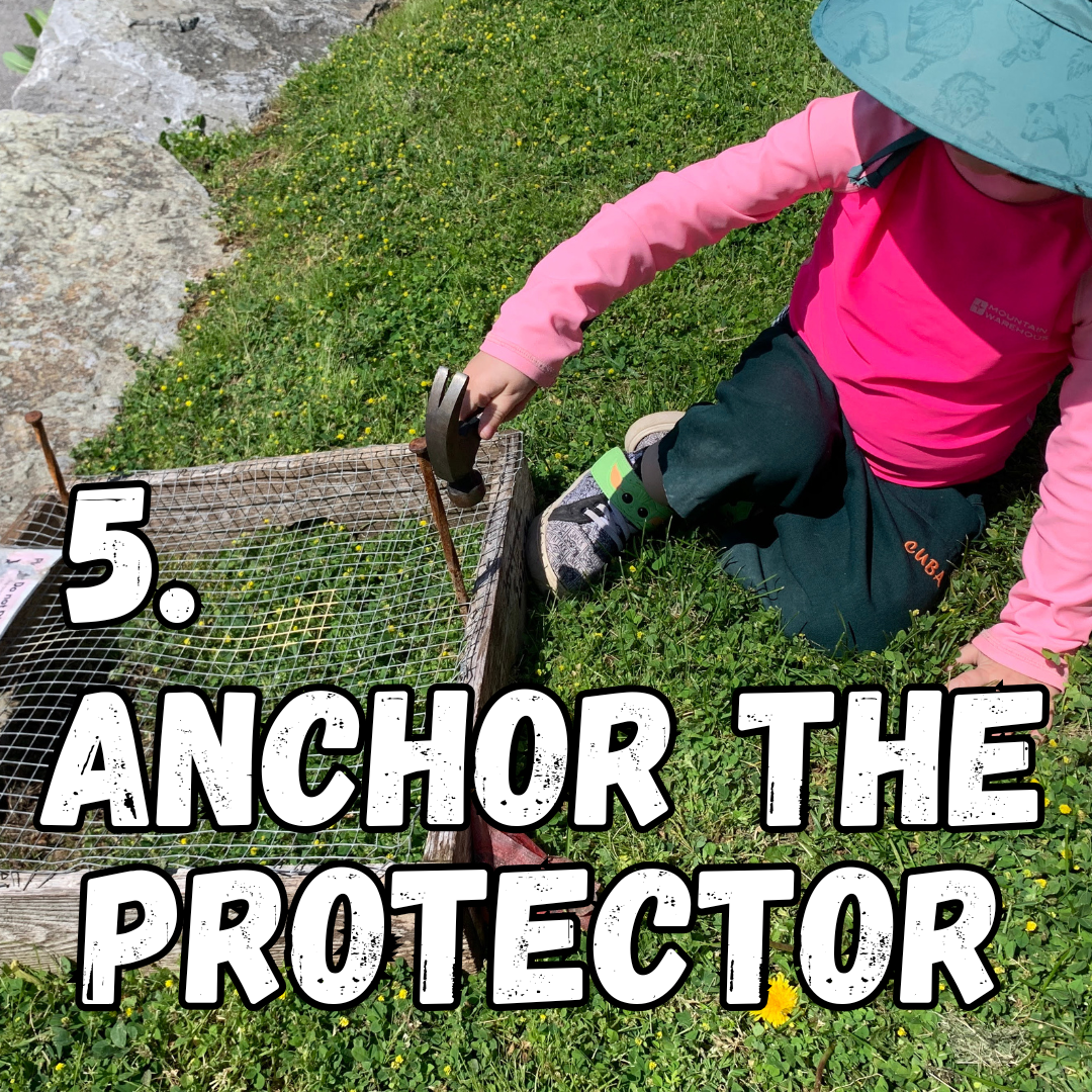 5. anchor the protector