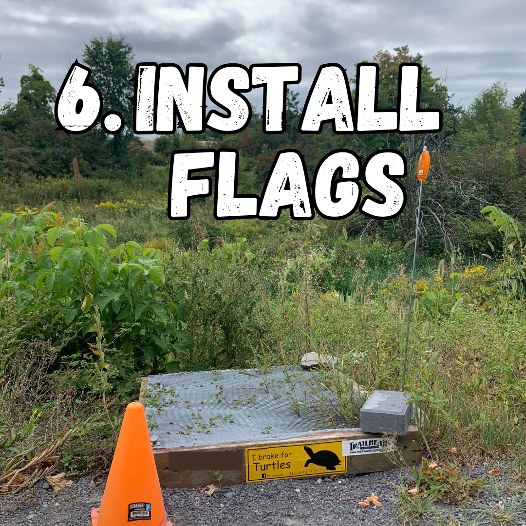 6. install flags