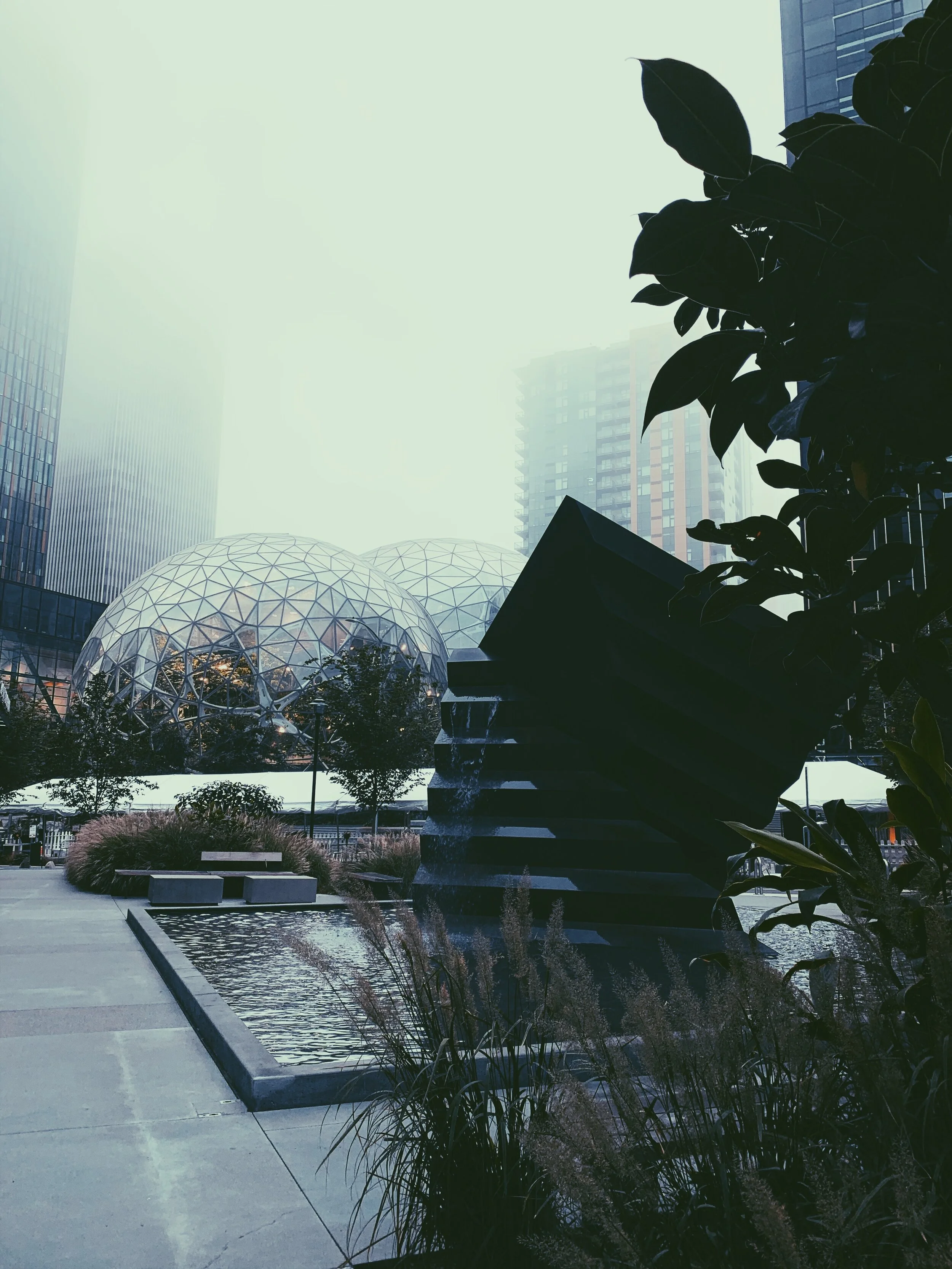 seattle-3.JPG