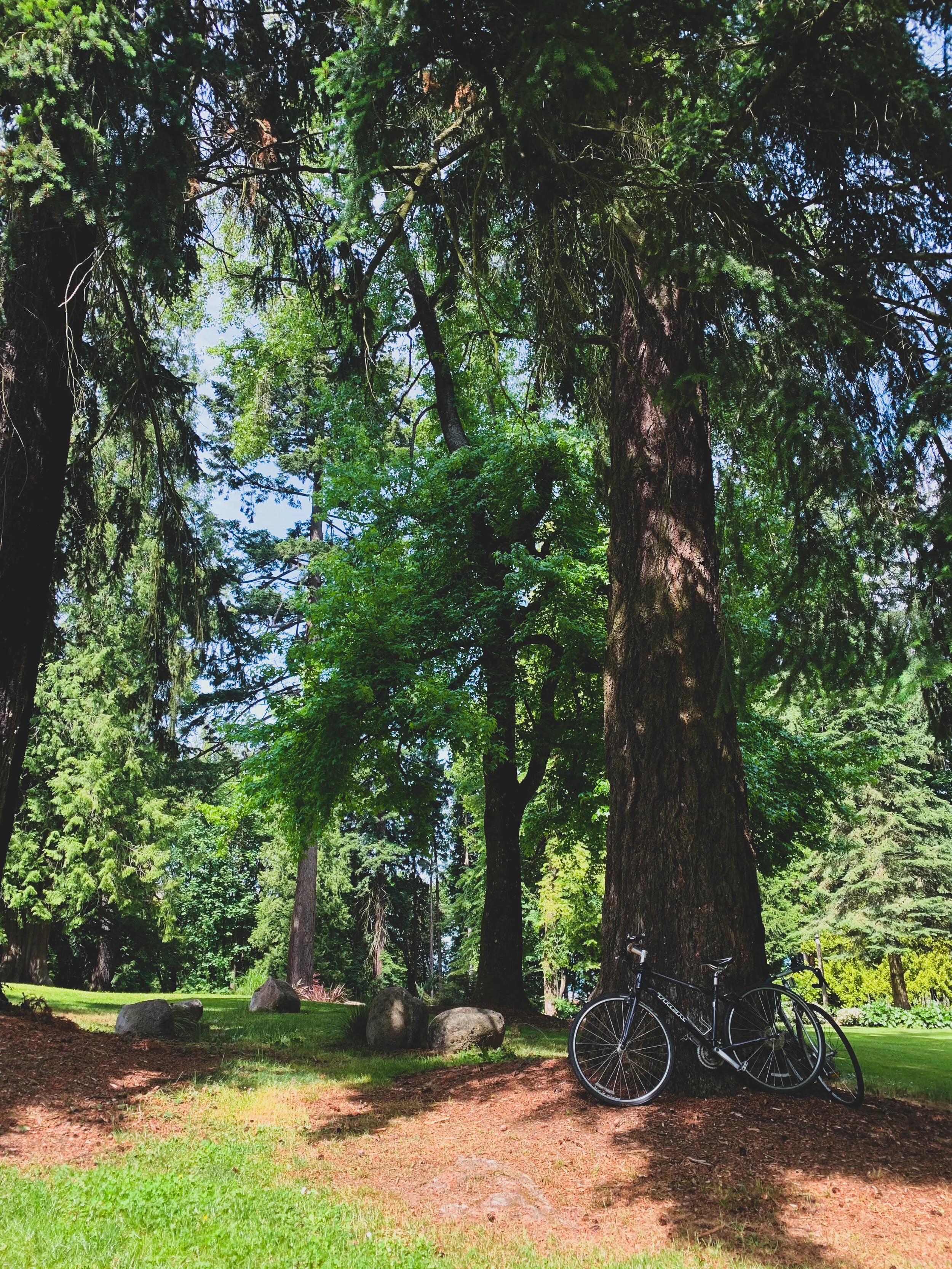 portland-9.jpg