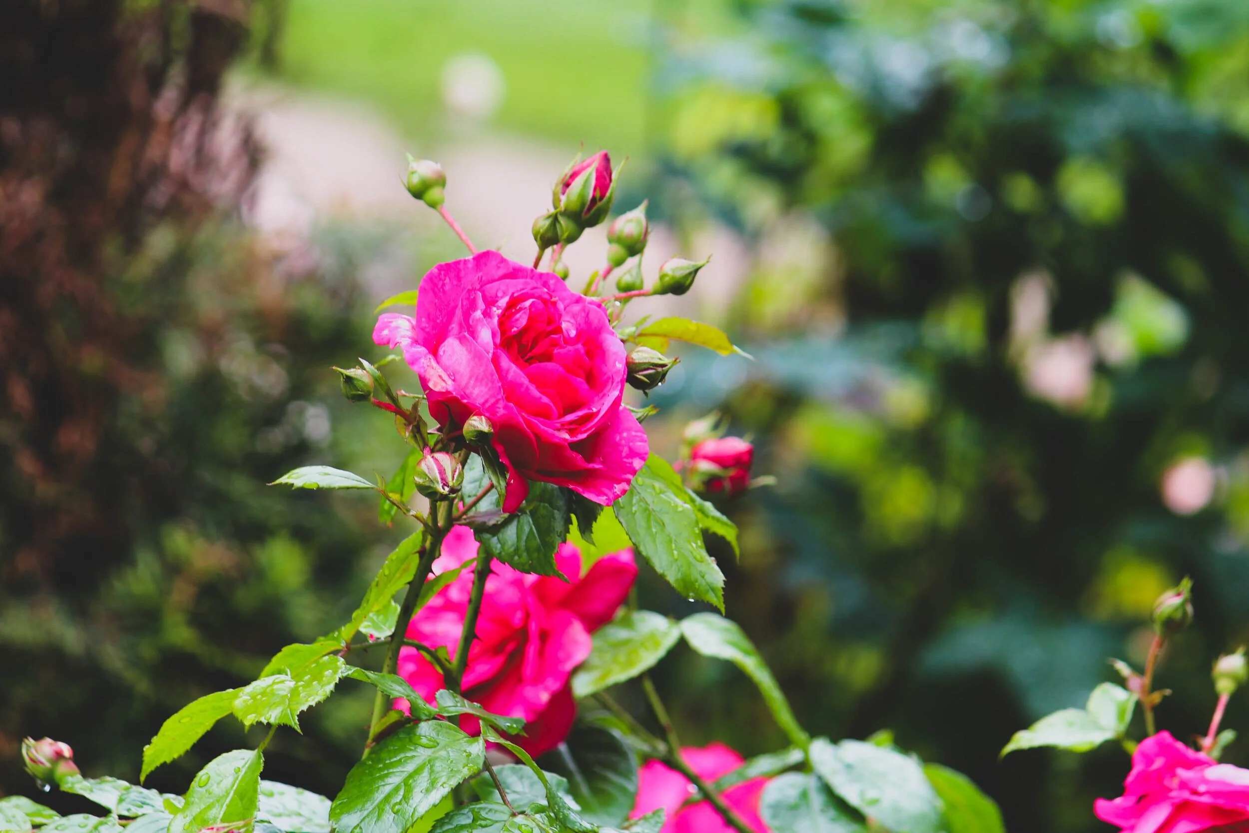 Portland | Photo Journal