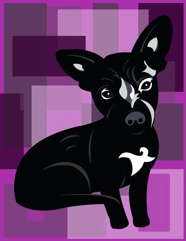 dog portrait
