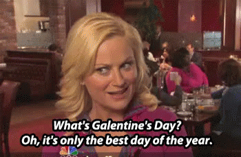 galentines-day-leslie-knope.gif