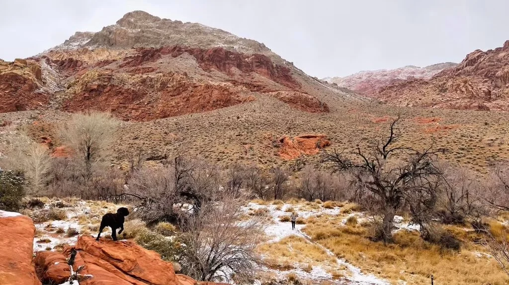 2021-02-13 15.58.17.jpg