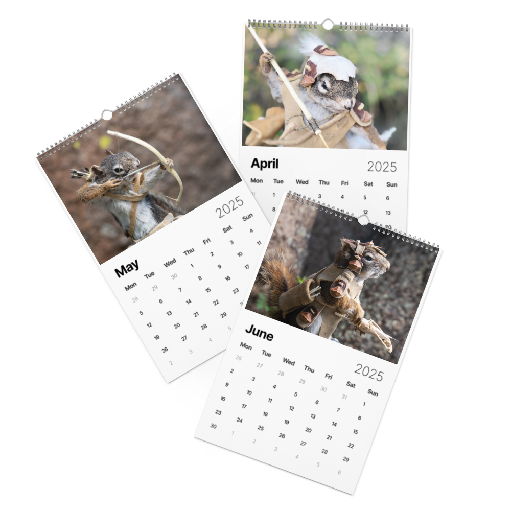wall-calendar-(2025)-start-w-mon-11x17-front-2-674b7e79b2835.png