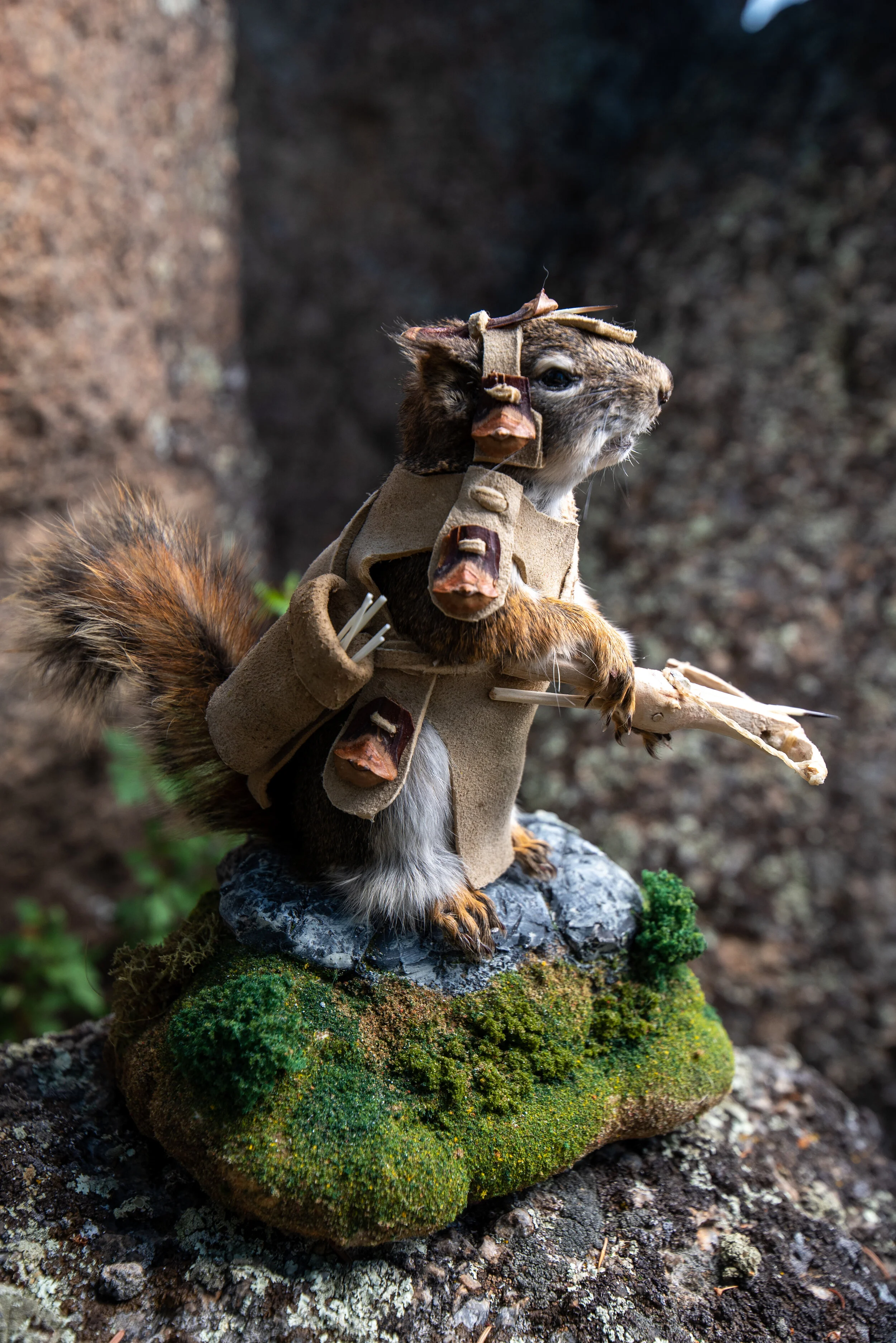 squirrelwarriors-17.jpg