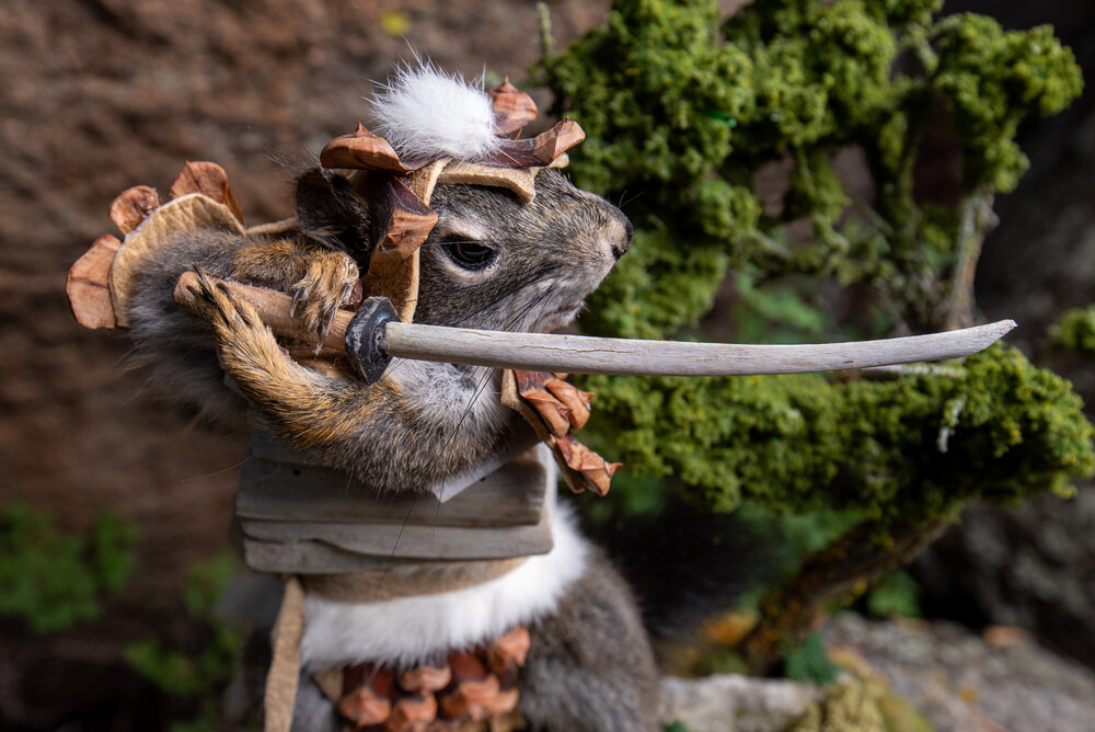squirrelwarriors-4.jpg