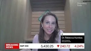 US Manufacturing Isn't Returning to 'Environment of Chaos': Homkes