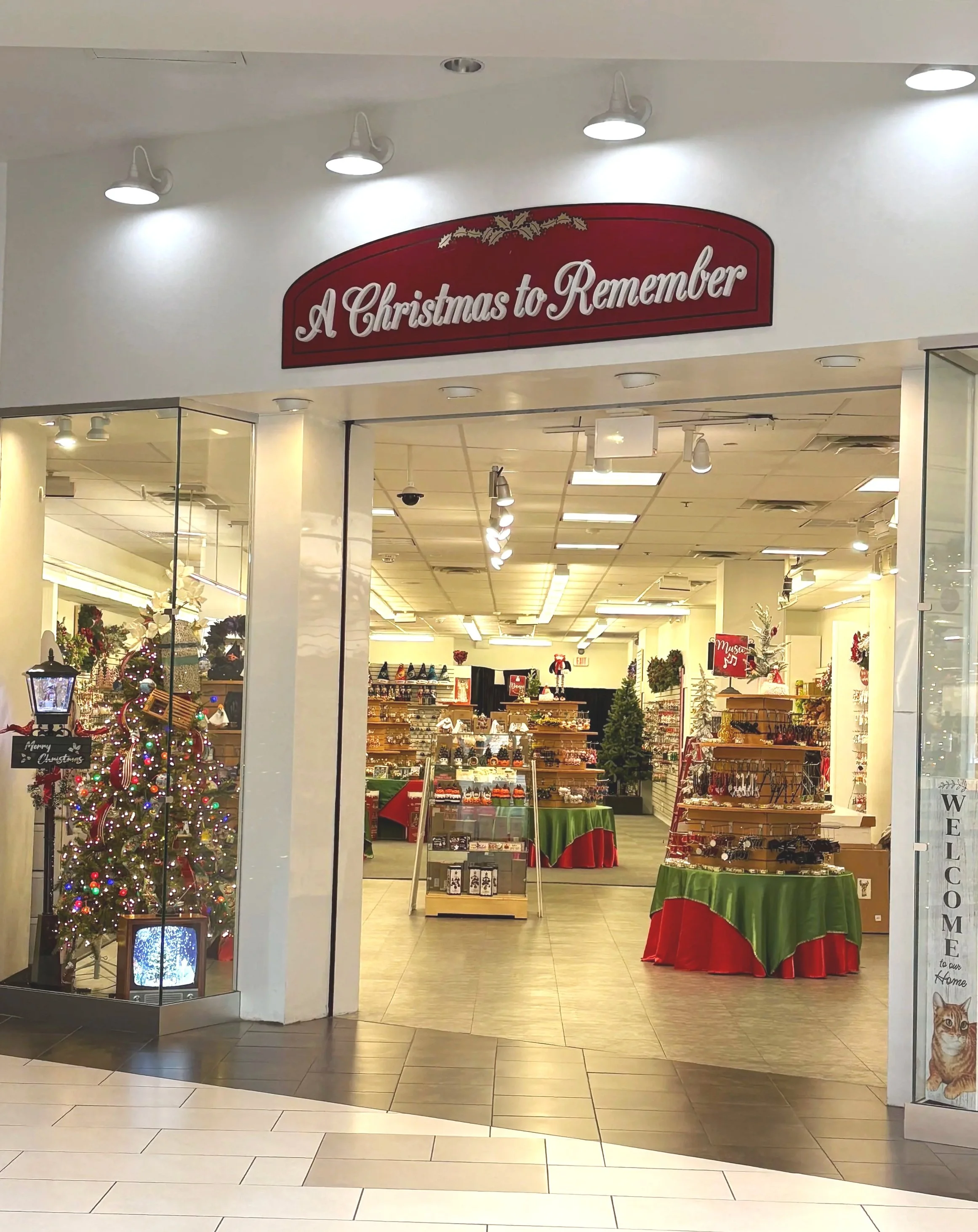 A Christmas to Remember