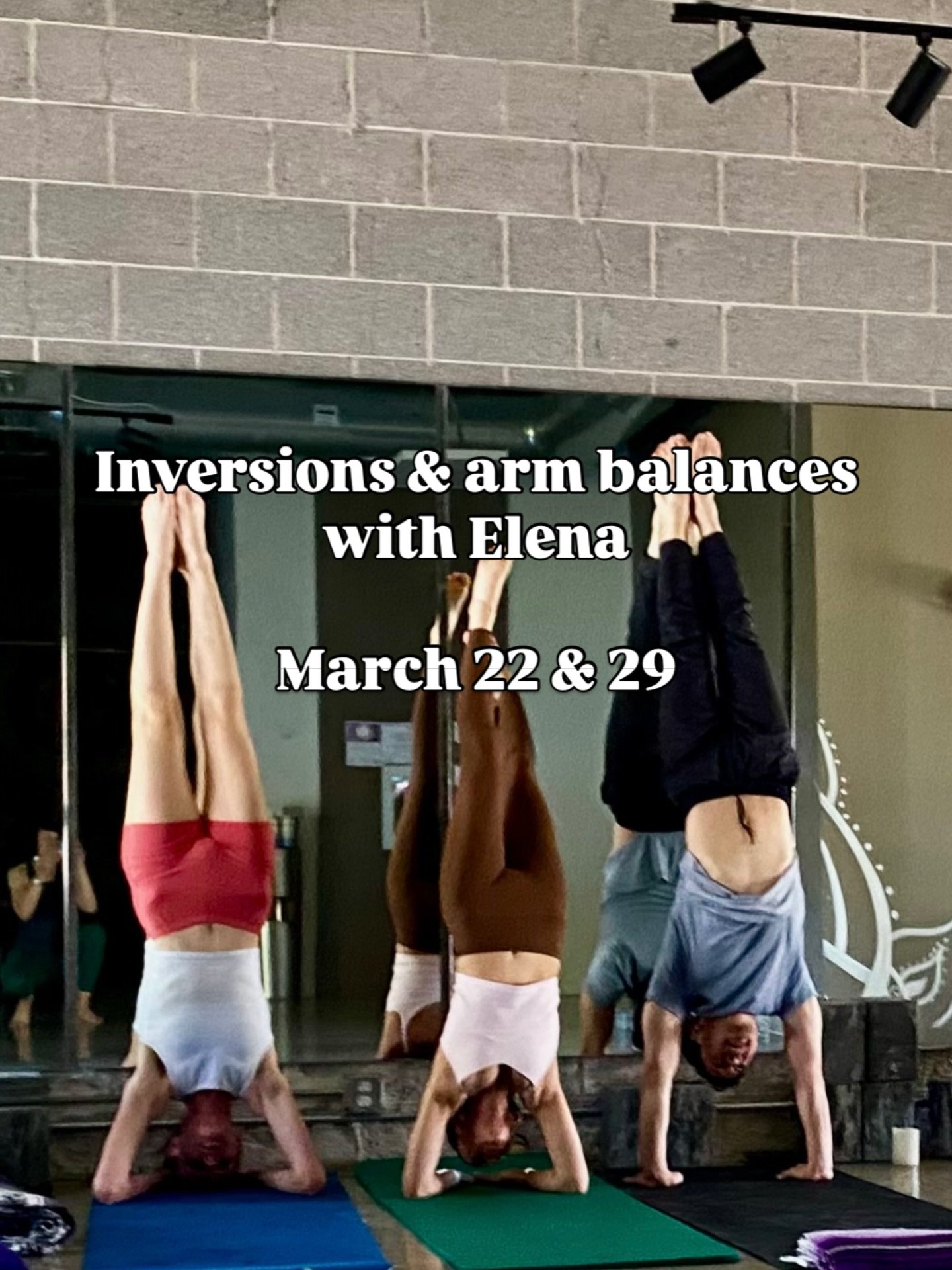 Inversions &amp; Arm Balances: A Progressive 2-Part Workshop with Elena Milyukova

Sunday, March 22 &amp; 29 from 2:00 - 4:00pm

For those ready to dive deeper into their practice in a hands-on, challenging, and playful way, this progressive 2-part w