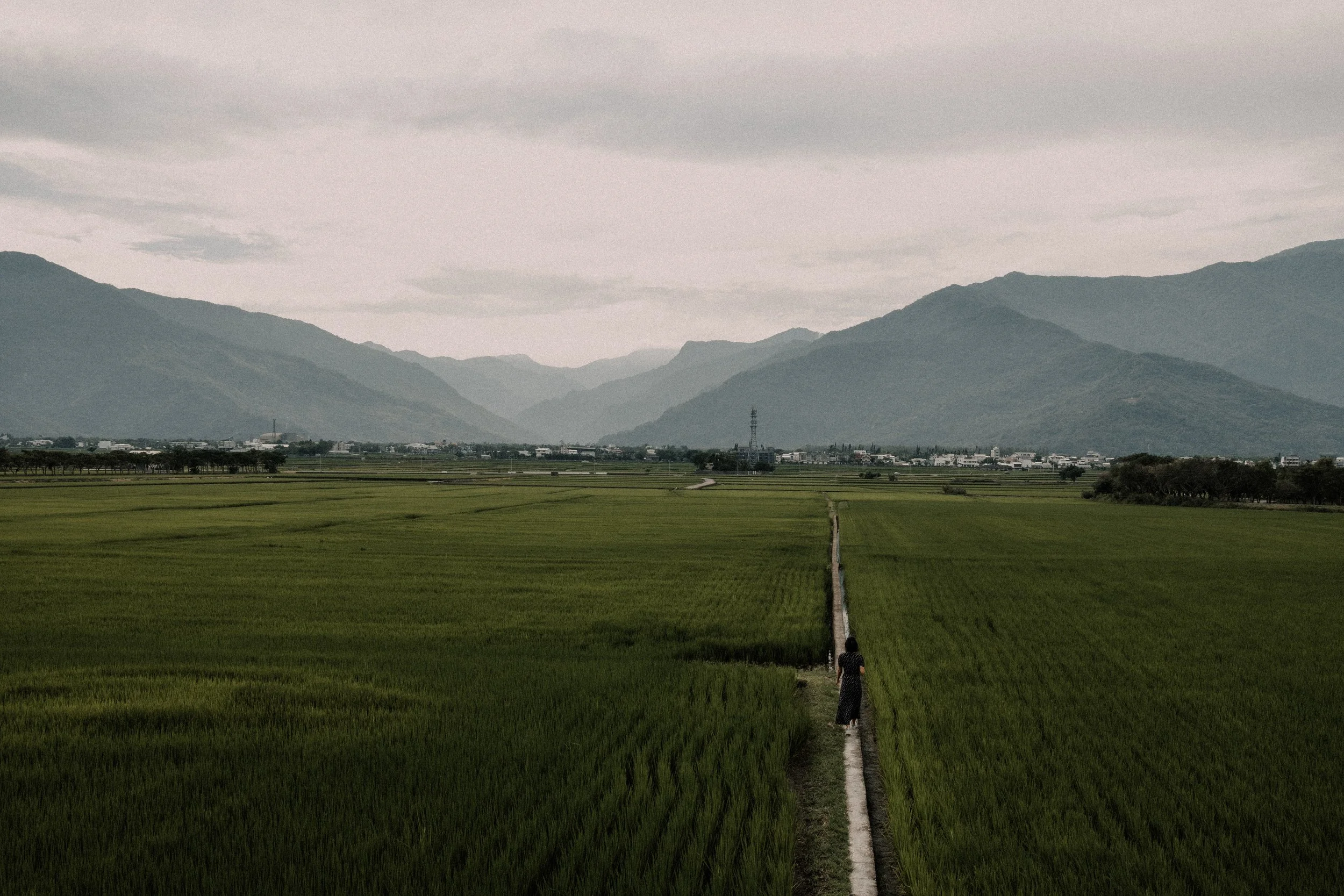 DSCF1513.jpg