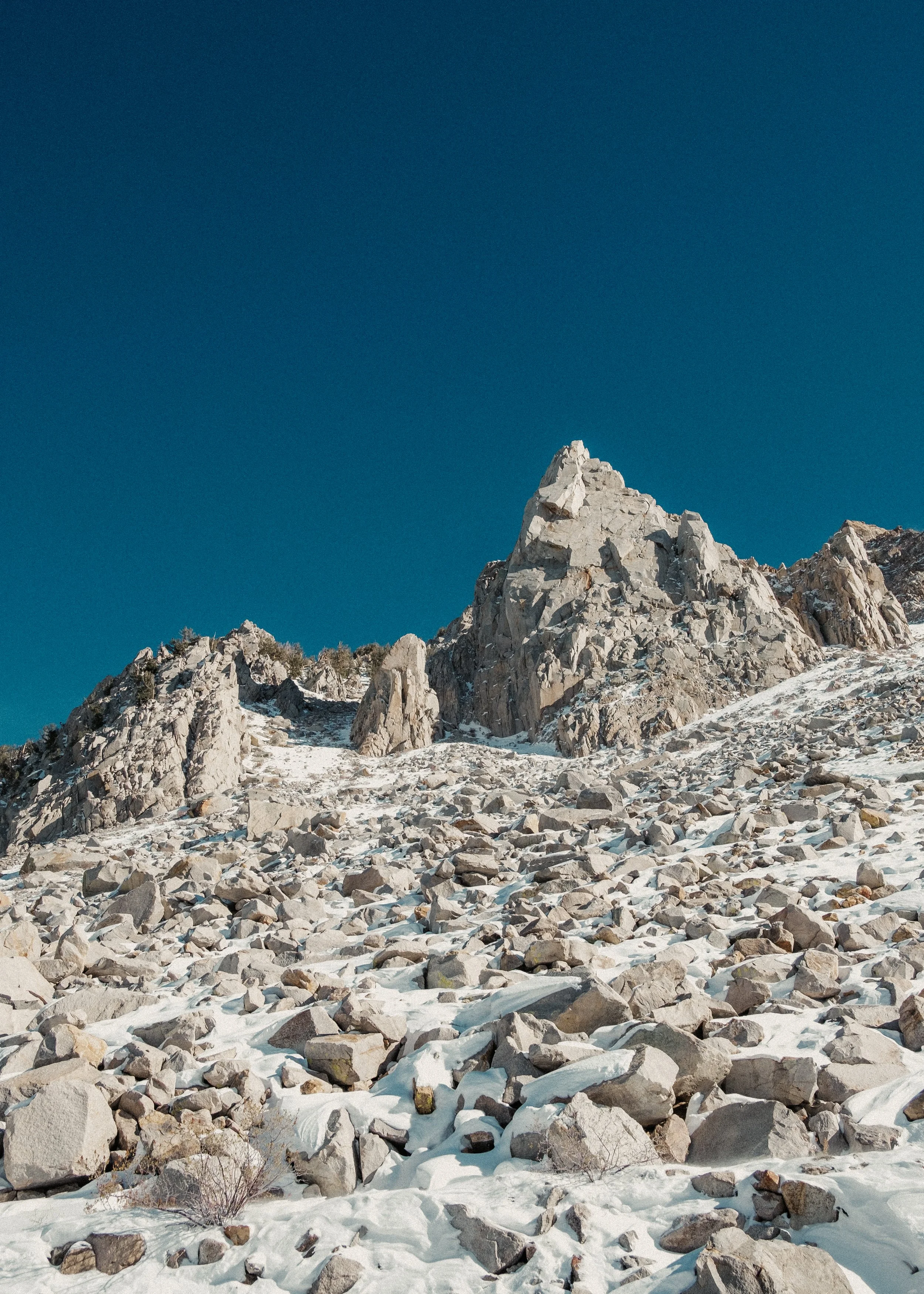 DSCF1779.jpg