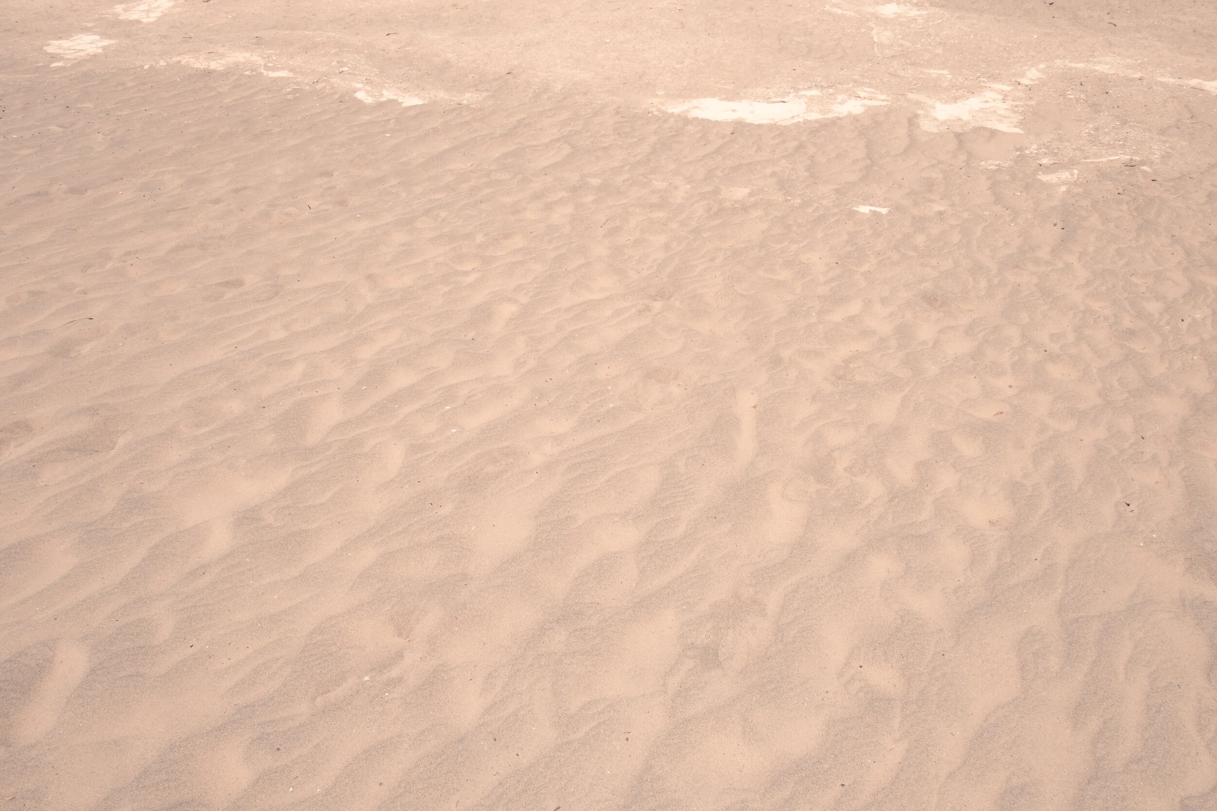 DSCF9363.jpg